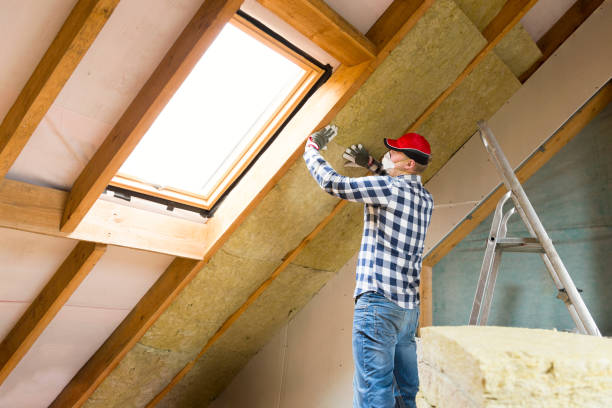 Best Blown-In Insulation  in Harahan, LA